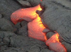 �I�v�V���i���c�A�[