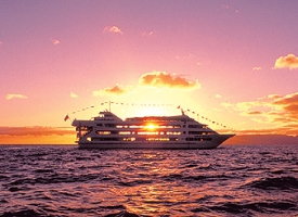 �f�B�i�[�V���[